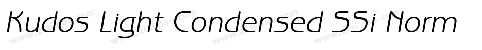 Kudos Light Condensed SSi Normal字体转换